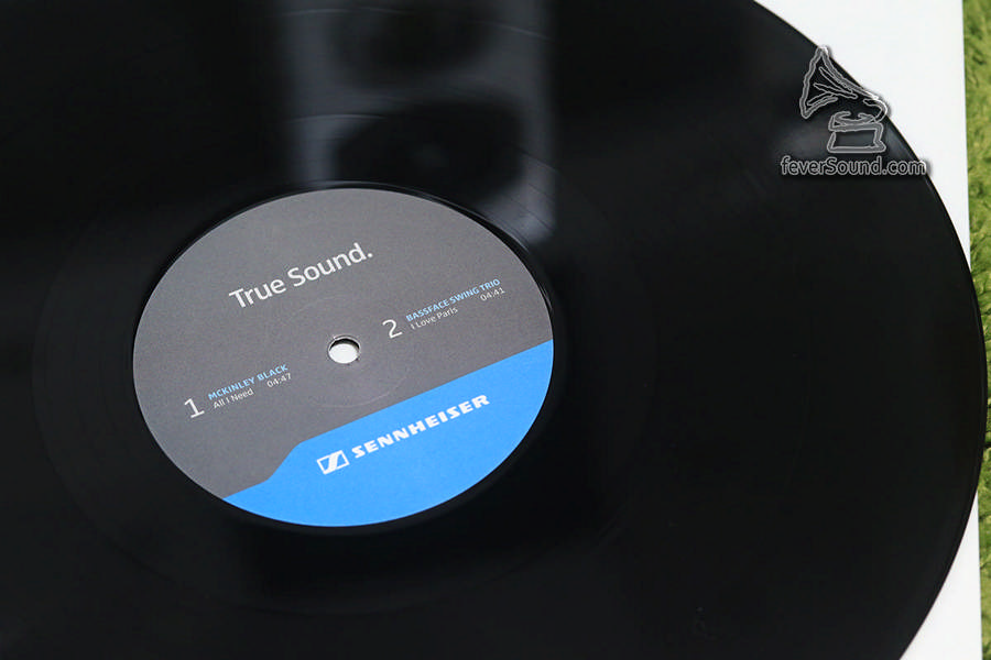 CD6A8394